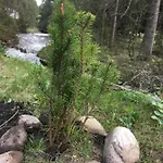 Vypo Domek letniskowy
