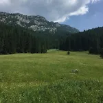 Domek letniskowy Vypo *